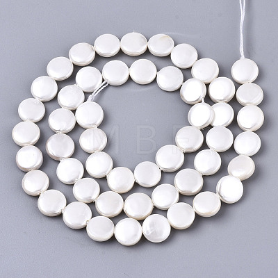 Natural Freshwater Shell Beads Strands SHEL-N026-50A-01-1