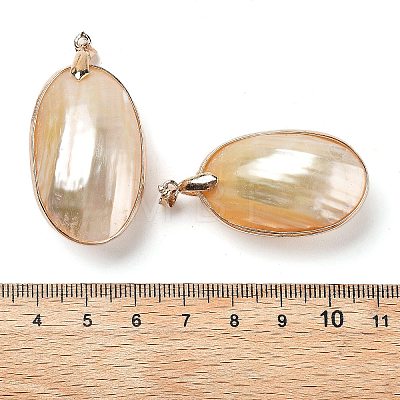 Electroplate Natural Shell Big Pendants KK-F882-05G-1