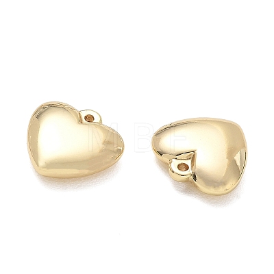 304 Stainless Steel Pendants SA-CBA3037-20G-09-1