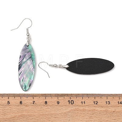 Brass Abalone Shell Dangle Earrings EJEW-C161-01B-1