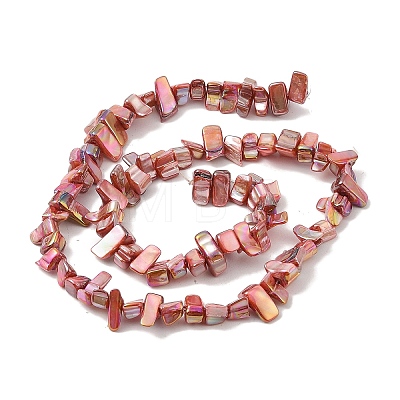 Natural Freshwater Shell Beads Strands BSHE-H018-07-1