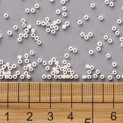 11/0 Grade A Round Glass Seed Beads SEED-N001-B-0482-1