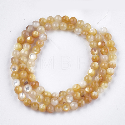 Yellow Shell Beads Strands X-SHEL-S274-93C-1
