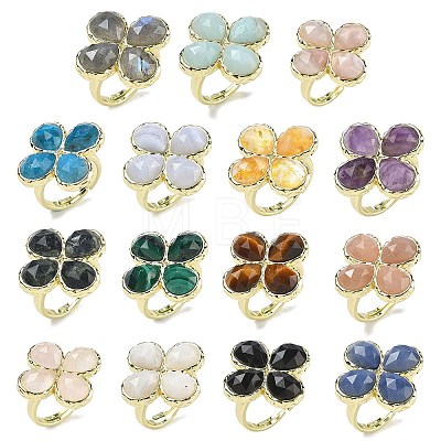 Natural Gemstone Faceted Adjustable Finger Rings for Women RJEW-A092-01G-1