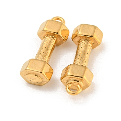 Ion Plating(IP) 304 Stainless Steel Pendants X-STAS-N103-79G-1