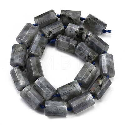 Natural Labradorite Beads Strands G-G162-D13-02-1