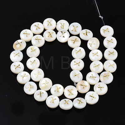 Natural Freshwater Shell Beads SHEL-S276-168X-1