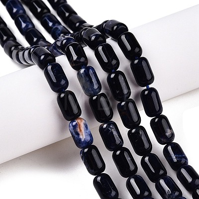 Natural Sodalite Beads Strands G-G980-37B-1