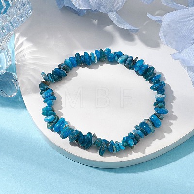 Natural Apatite Chip Beaded Stretch Bracelets BJEW-JB10868-01-1