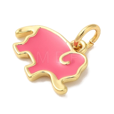 Rack Plating Brass Enamel Charms KK-L220-024G-02-1