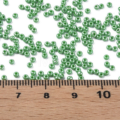 12/0 Czech Opaque Glass Seed Beads SEED-N004-003C-02-1