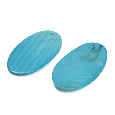 Spray Painted Natural Shell Big Pendants SHEL-C010-11-1