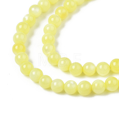 Natural Freshwater Shell Beads Strands BSHE-T009A-01H-1