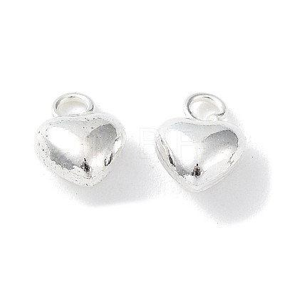 925 Sterling Silver Charms STER-H106-01D-S-1