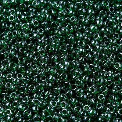 MIYUKI Round Rocailles Beads X-SEED-G008-RR0173-1