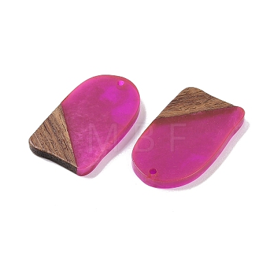 Resin & Wood Pendants WOOD-F015-13G-1