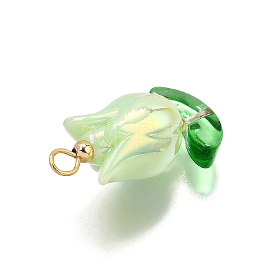 UV Plated Acrylic Pendants PALLOY-TA00270-1