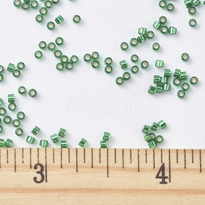 MIYUKI Delica Beads X-SEED-J020-DB0605-1