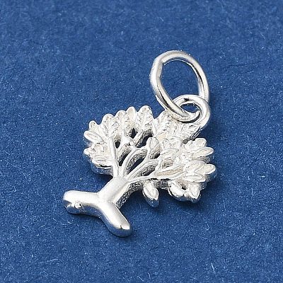 925 Sterling Silver Charms STER-NH0001-34S-1