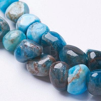 Natural Apatite Beads Strands G-F506-12-1