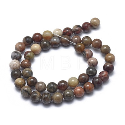 Natural Petrified Wood Beads Strands G-I254-07B-1