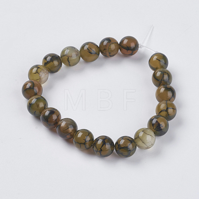Natural Dragon Veins Agate Beads Strands G-G515-10mm-02B-1