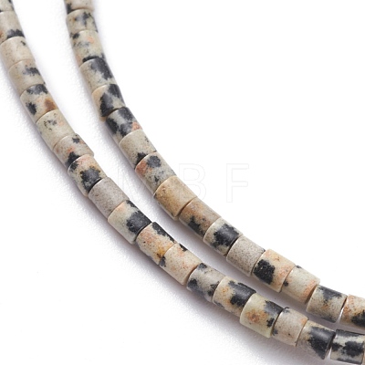 Natural Dalmatian Jasper Beads Strands G-H255-10-1