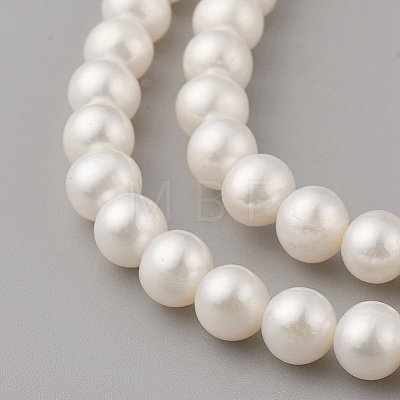 Natural Cultured Freshwater Pearl Beads Strands PEAR-G007-24-01-1