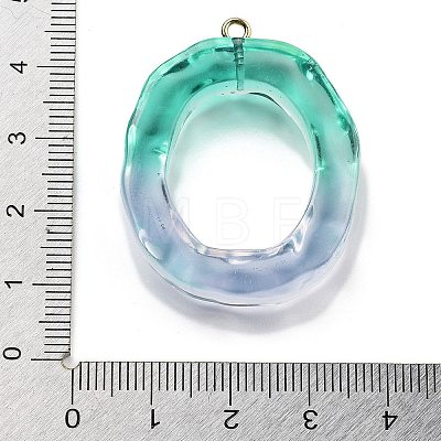 Resin Pendant FIND-Q107-01O-02-1