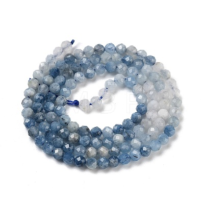 Natural Aquamarine Beads Strands G-B088-C24-03-1