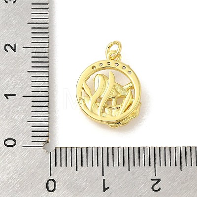 Rack Plating Brass Micro Pave Cubic Zirconia Pendants KK-S396-53G-1