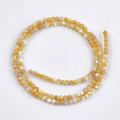 Yellow Shell Beads Strands SHEL-S274-93A-1