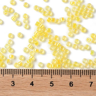 Glass Seed Beads SEED-S042-13A-03-1