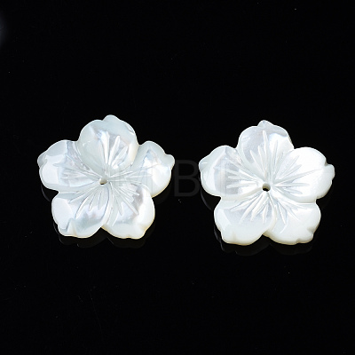 Natural White Shell Mother of Pearl Shell Beads SSHEL-T014-42D-1