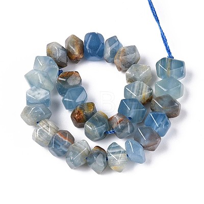 Natural Blue Calcite Beads Strands G-N327-05-29-1