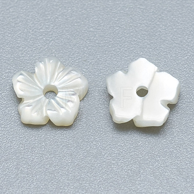 Natural White Shell Beads SSHEL-S260-003-1