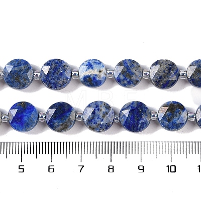 Natural Lapis Lazuli Beads Strands G-N342-16-1