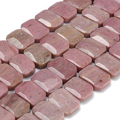 Natural Rhodonite Beads Strands G-C285-A05-01-1