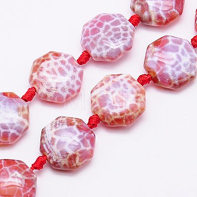 Natural Fire Crackle Agate Beads Strands X-G-G456-10-1