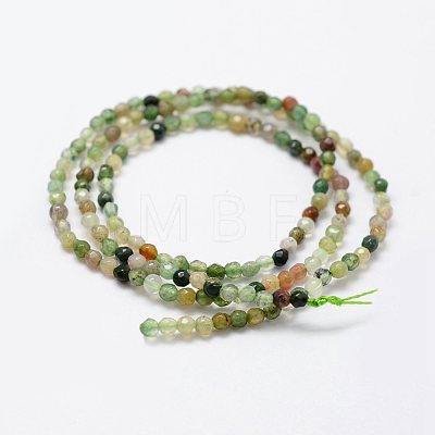 Natural Indian Agate Beads Strands G-K183-03-1