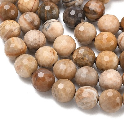 Natural Petrified Wood Beads Strands G-L642-F09-8mm-1