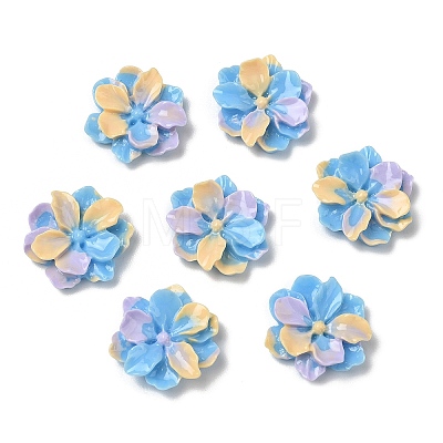 Opaque Resin Cabochons RE-F001-02-1