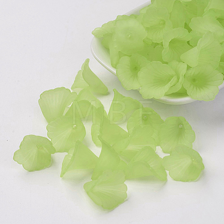 Transparent Acrylic Bead Caps LS-X-PL551-C18-1