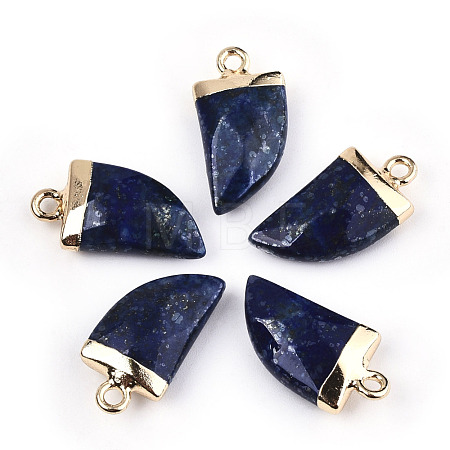 Natural Lapis Lazuli Pendants G-N326-57B-1