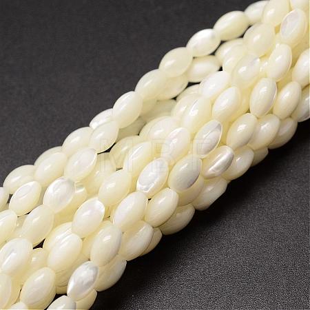 Natural Trochid Shell/Trochus Shell Beads Strands SSHEL-K008-06-1