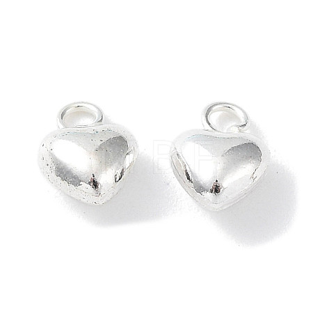 925 Sterling Silver Charms STER-H106-01D-S-1