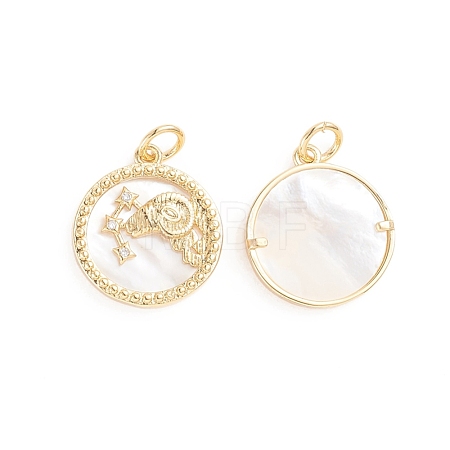 Brass Micro Pave Cubic Zirconia Pendants ZIRC-E164-36F-G-1