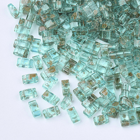 2-Hole Transparent Glass Seed Beads SEED-S023-30B-21-1