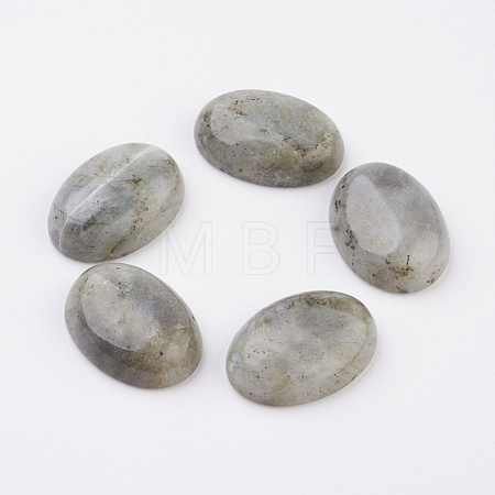 Natural Labradorite Flat Back Cabochons G-G741-13x18mm-18-1