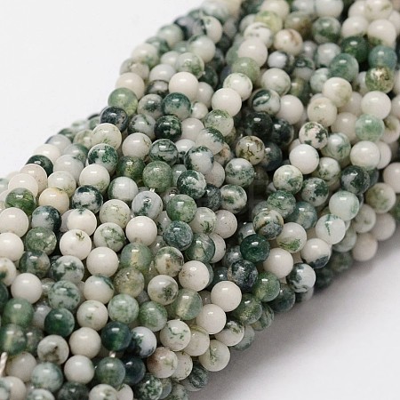 Natural Tree Agate Beads Strands G-N0192-01-2mm-1